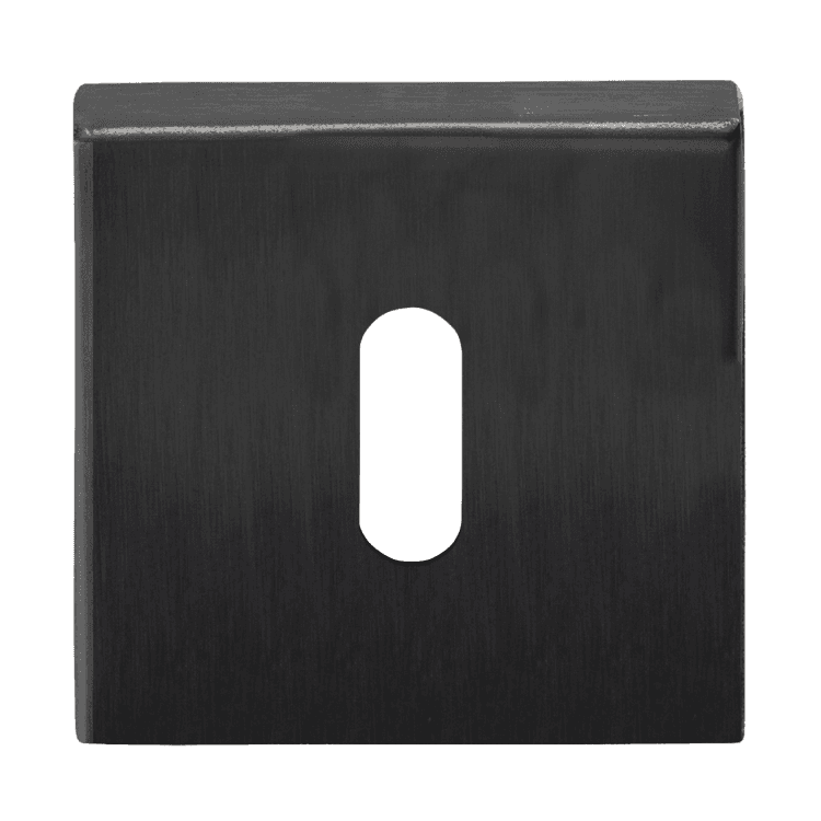 Cilinderrozet BSQN53 pvd gunmetal