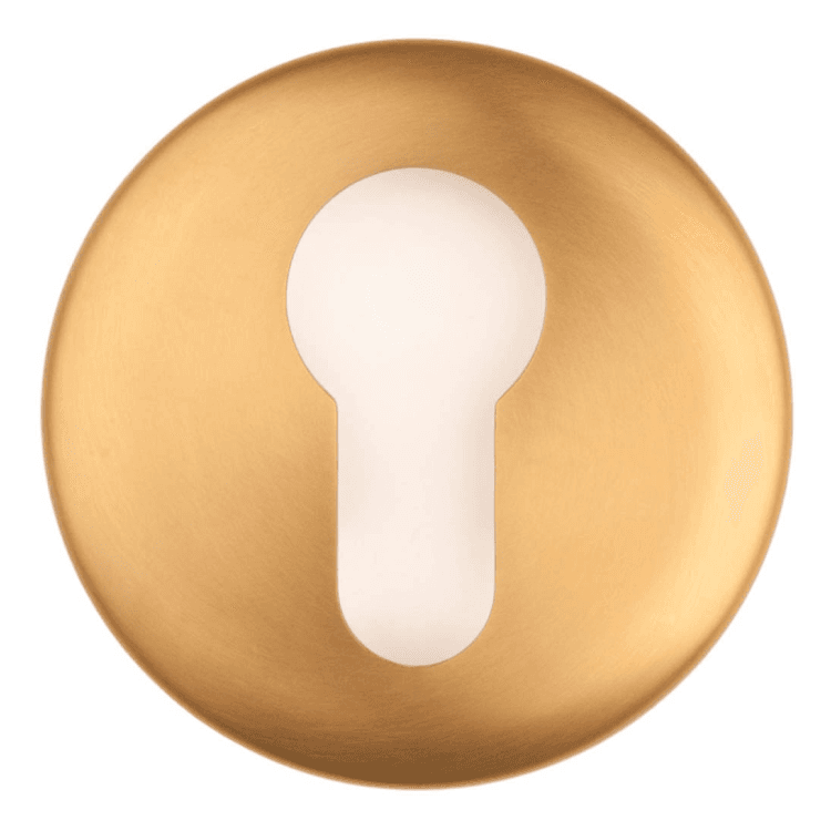 Cilinderrozet EVBY52 pvd mat goud